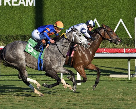 Moon Spun wins the Abundantia Stakes at Gulfstream 12/27/25