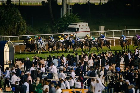 Dark Trooper wins the 2025 HH The President Cup