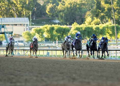 Goal Oriented and jockey Joel Rosario, third from right, win the Grade I $300,000 Malibu Stakes Sunday, December 28, 2025, opening day of the Santa Anita Park  meet. Benoit Photo