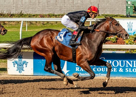 Golden Tempo, Maiden Win, Fair Grounds, December 20 2025