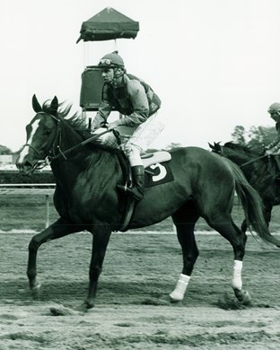 Barcas wins the 1976 Dixie Handicap at Pimlico Race Course, Vincent Bracciale up