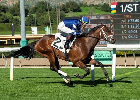 Stark Contrast and jockey Kazushi Kimura win the $100,000 Eddie Logan Stakes, Thursday, January 8, 2026 at Santa Anita Park, Arcadia CA.<br>
© BENOIT PHOTO