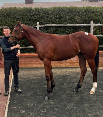 Bobby Ring, Gerry Dilger Equine Scholarship Foundation recipient