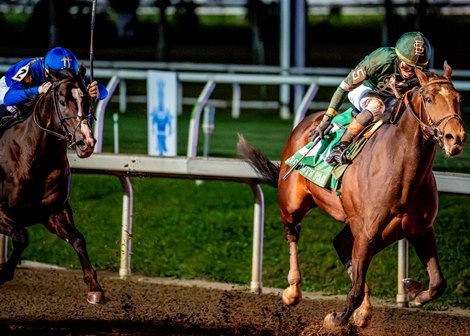 1/17/2026- Golden Tempo, with Jose Ortiz aboard, wins the 83rd running of the $250,000 Lecomte Stakes race at Fair Grounds Racecourse in New Orleans, LA. Hodges Photography/ Jan Brubaker