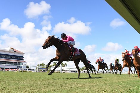Speed Shopper wins the 2026 Christophe Clement Stakes at Gulfstream Park<br>
Coglianese Photos/Ryan Thompson
