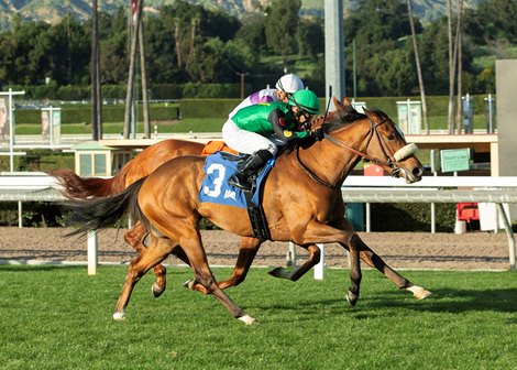 My Way Racing's Cee Drew and jockey Ricardo Gonzalez, outside, edge Cashed (Umberto Rispoli), inside, to win the $175,000 Leigh Ann Howard California Cup Oaks Saturday January 17, 2026 at Santa Anita Park, Arcadia, CA.<br>
	Benoit Photo