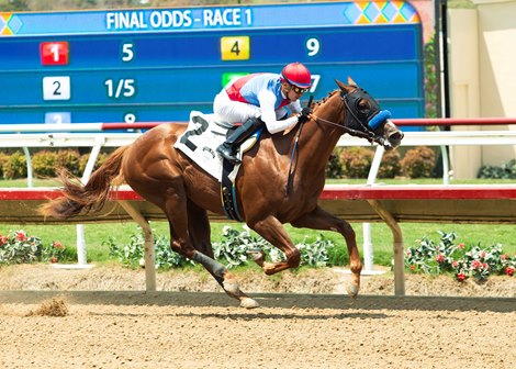 Buetane - MSW - Del Mar - 080325