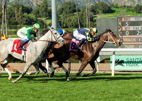 Vodka Vodka and jockey Kent Desormeaux, right, win the $175,000  Unusual Heat Turf Classic, outgaming Stamp My Passport (Diego Herrera), inside, and Hey Jessie (Mike Smith), outside,  Saturday January 17, 2026 at Santa Anita Park, Arcadia, CA.  Co-owners Aggie Ordonez (also the trainer) and Connie Baker are all smiles after the race. Benoit Photo