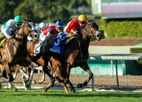 Rancho San Roberto’s Princesa Moche and jockey Mirco Demuro, right, prevail in a tight finish to win the Grade III $100,000 Megahertz Stakes Saturday, January 31, 2026 at Santa Anita Park in Arcadia, CA.  The six-year-old daughter of Muwarry was bred in Peru and is trainer by Doug O’Neill.<br>
Benoit Photo