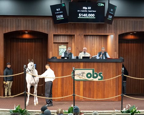 The colt by Nashville, consigned as Hip 22 in the ring