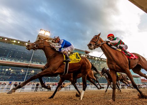 1-17-26 Taken By The Wind, with Brian Hernandez, Jr. aboard, wins the 34th running of the $150,000 Silverbulletday Stakes race at Fair Grounds Racecourse in New Orleans, LA. Hodges Photography/Amanda Hodges Weir