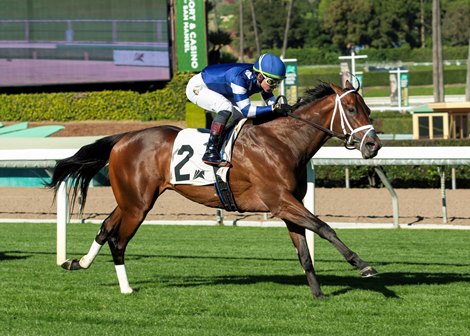 Stark Contrast and jockey Kazushi Kimura win the $100,000 Eddie Logan Stakes, Thursday, January 8, 2026 at Santa Anita Park, Arcadia CA. © BENOIT PHOTO