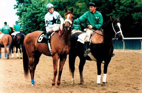 Fourstardave dead at 17. Fourstardave dead at 17.