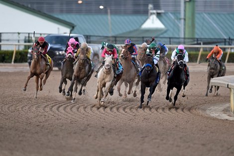 Skippylongstocking wins the 2026 Pegasus World Cup Invitational Stakes at Gulfstream Park<br>
Coglianese Photos/Jetta Vaughns