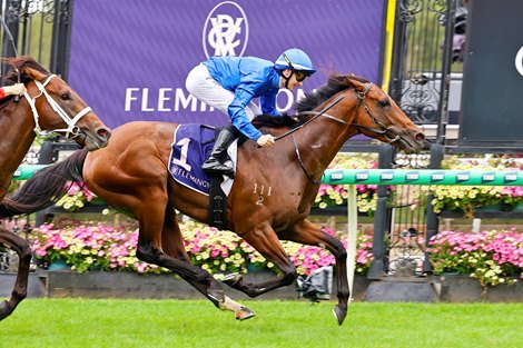 Observer wins the 2026 Australian Guineas at Flemington Racecourse ridden by Ethan Brown and trained by Ciaron Maher