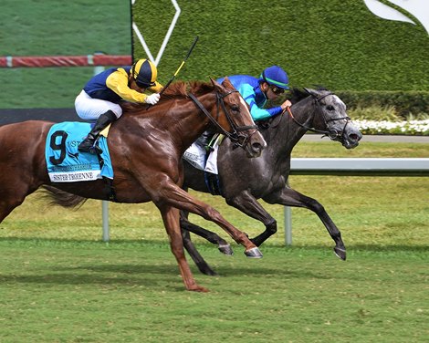Lion Lake wins the 2026 Herecomesthebride Stakes at Gulfstream Park