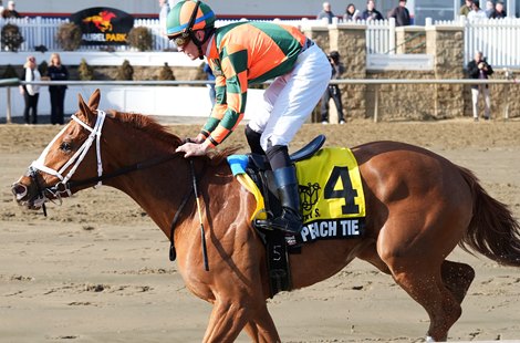 Peach Tie wins the 2026 Wide Country Stakes at Laurel Park