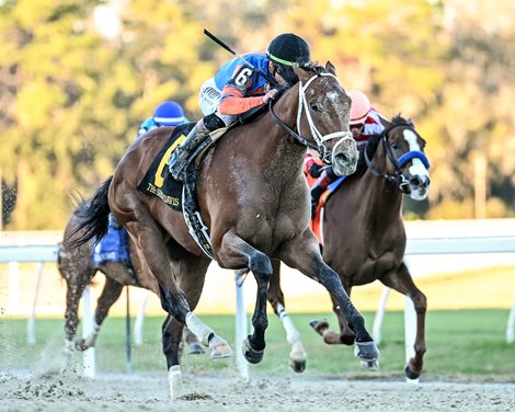 Renegade wins the 2026 Sam F. Davis Stakes at Tampa Bay Downs