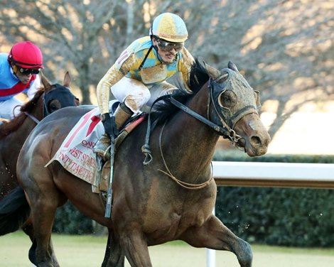 Silent Tactic wins the 2026 Southwest Stakes at Oaklawn Park