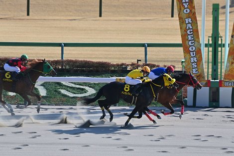 Lucky Kid wins the 2026 Hyacinth Stakes at Tokyo Racecourse