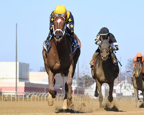 Paradise wins the 2026 Busher Stakes at Aqueduct Racetrack