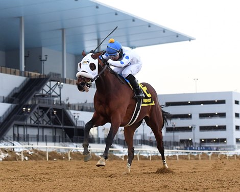 Talk to Me Jimmy wins the Withers Stakes at Aqueduct Racetrack