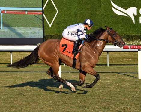 Moon Spun wins the 2026 Ladies' Turf Sprint Stakes at Gulfstream Park