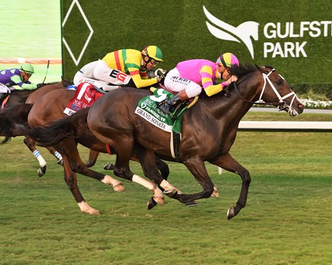 Grand Sonata wins the 2026 Mac Diarmida Stakes at Gulfstream Park