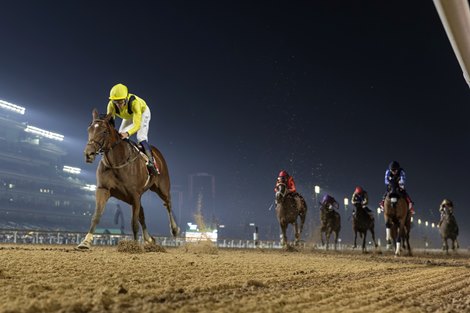 Meydaan wins the 2026 Al Maktoum Classic at Meydan Racecours