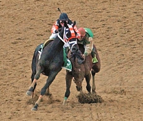 Afleet Alex, right, collided with Scrappy T at the top of the stretch and recovered to win the Preakness Stakes.