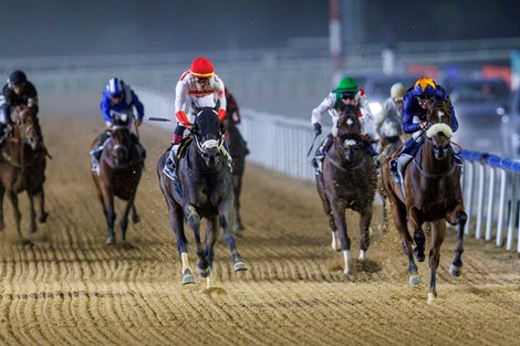 Dark Saffron wins the 2026 Dubai Golden Shaheen at Meydan Racecourse