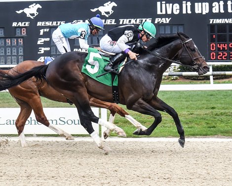 Damon's Mound wins the 2026 NYRABETS Sprint Stakes at Tampa Bay Downs