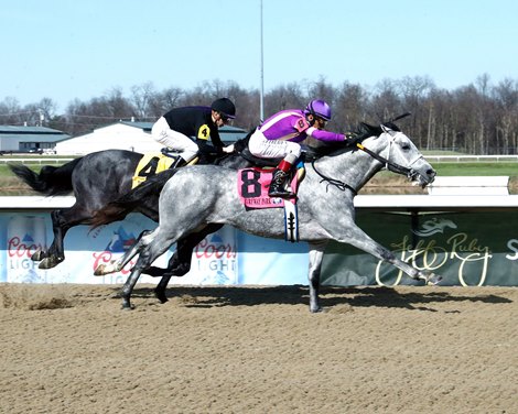 Bull by the Horns wins the 2026 Rushaway Stakes at Turfway Park
