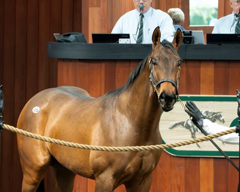 OBS March 2026, Hip 95