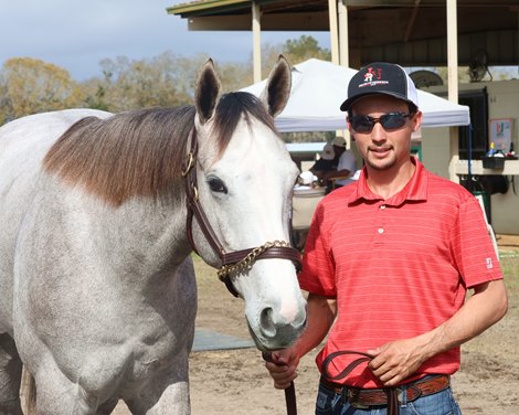 Hip 595, consignor Jesse Aviles and Rylee Thomas, J& Thoroughbreds, 2026 OBS March Sale
