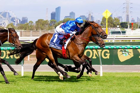 Tom Kitten wins the 2026 All Star Mile at Flemington Racecourse ridden by Craig Williams and trained by Anthony & Sam Freedman