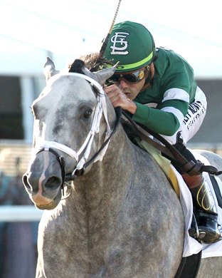 Fulleffort wins the 2026 Jeff Ruby Steaks at Turfway Park