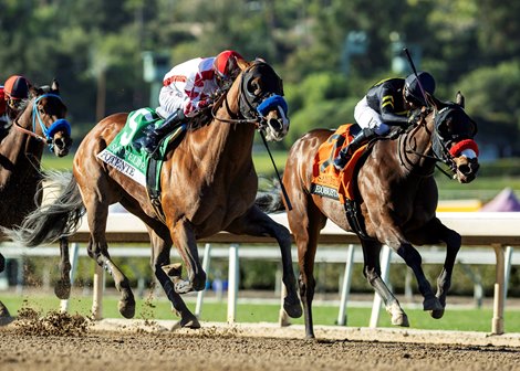 Speedway Stables’ Potente and jockey Juan Hernandez, left,, sneak up on  Robusta (Emisael Jaramillo), inside, just in time to win the Grade II $200,000 San Felipe Stakes Saturday, March 7, 2026 at Santa Anita Park, Arcadia, CA, giving trainer Bob Baffert and jockey Juan Hernandez their second stakes wins on  the day.   Benoit Photo