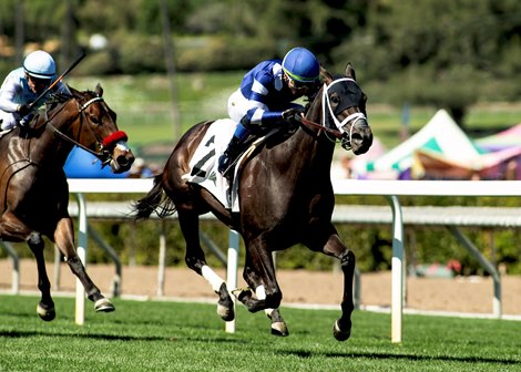 Amerman Racing's Counterbalance and jockey Kazushi Kimura win the $100,000 China Doll Stakes, Sunday, March 8, 2026 at Santa Anita Park, Arcadia CA. © BENOIT PHOTO