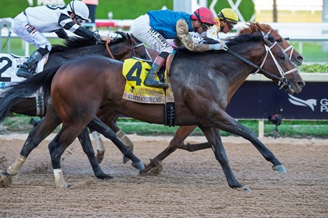 Commandment wins the 2026 Florida Derby at Gulfstream Park