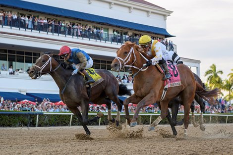 Commandment wins the 2026 Florida Derby at Gulfstream Park