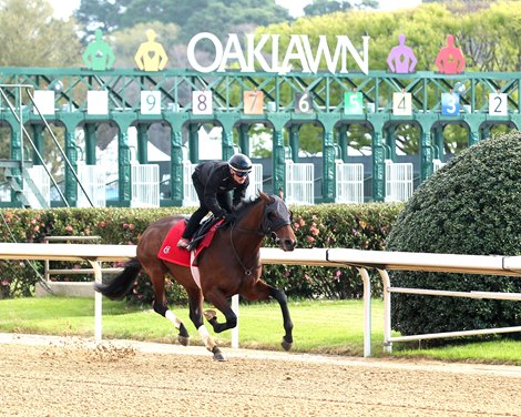 Silent Tactic - Work - Oaklawn Park - 031926