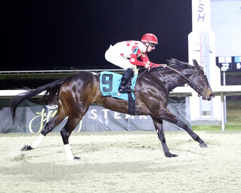 Blue Flame Six, Maiden Win, Turfway Park, March 5 2026