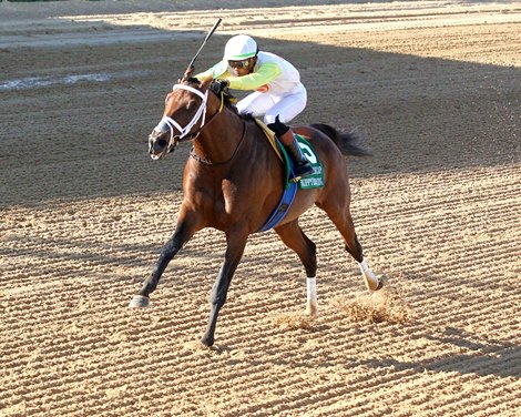 Skippylongstocking wins the 2026 Essex Handicap at Oaklawn Park