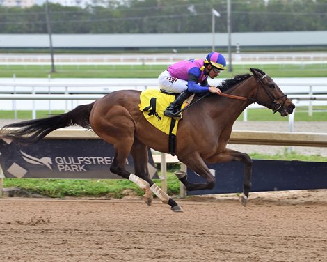 Star Actress - MSW - GP - 031526