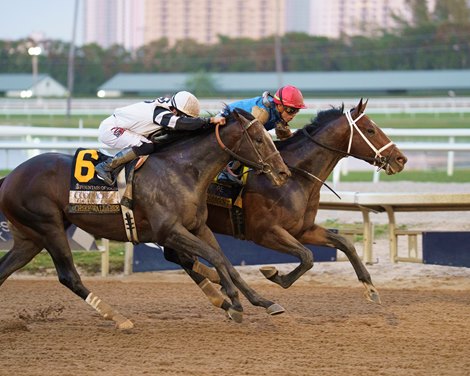 Commandment wins the 2026 Fountain of Youth Stakes at Gulfstream Park