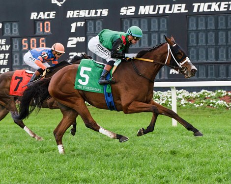 Dandona wins the 2026 Florida Oaks at Tampa Bay Downs