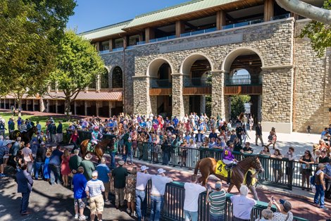 Paddock, Keeneland, Fall Meet 2025