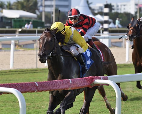 Litigation wins the 2026 Silks Run Stakes at Gulfstream Park