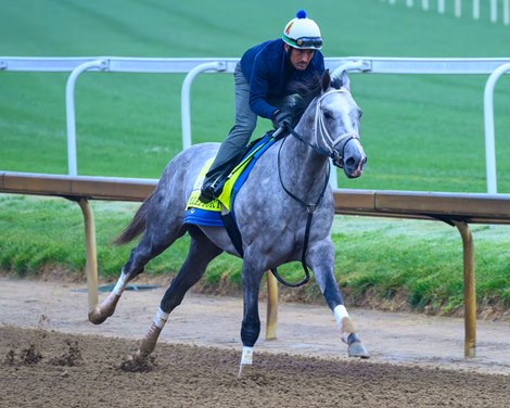 Fulleffort<br>
Training at Churchill Downs on April 24, 2026.